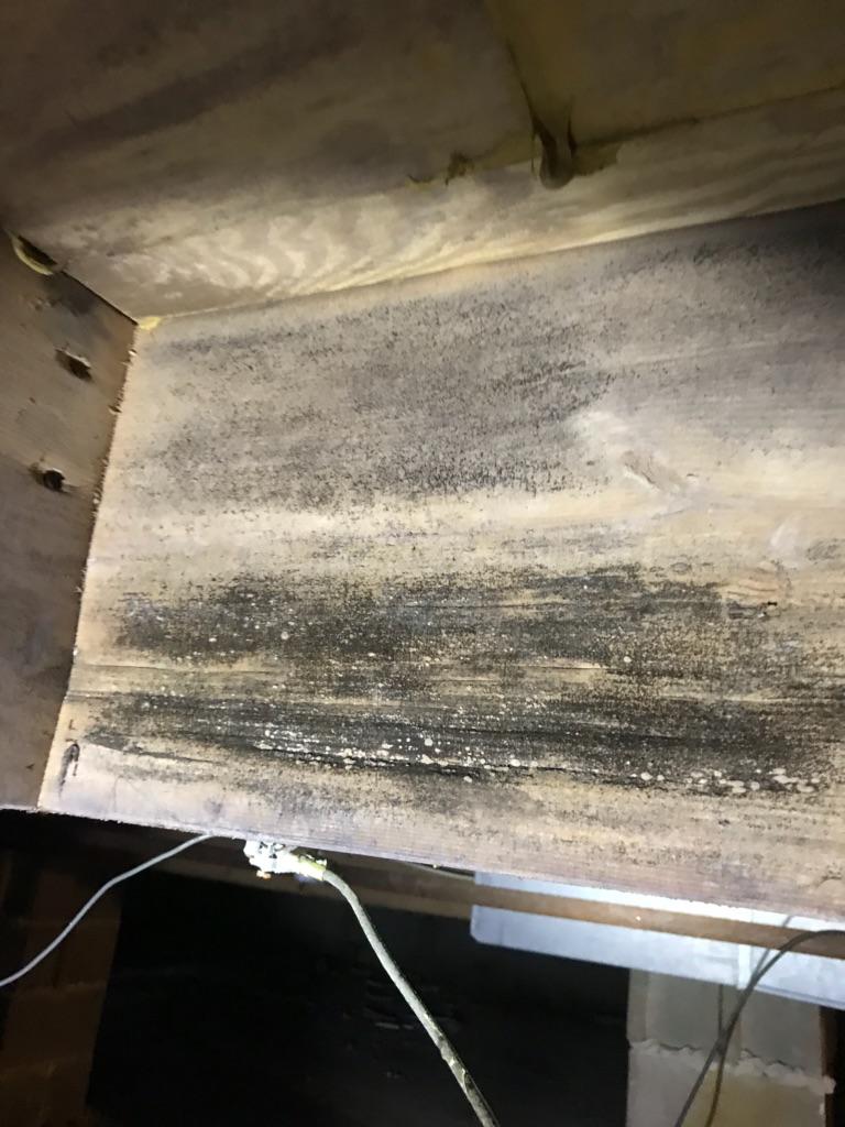 Chronic Moisture Causes Mold in NJ Crawl Space More
