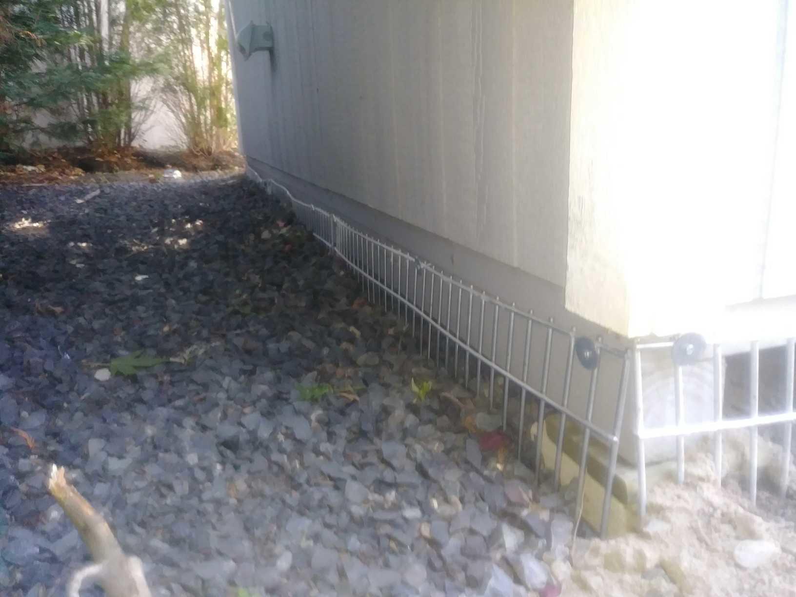 Wildlife Removal Keeping Groundhogs at Bay in Red Bank, NJ home Dig DeFence installed.