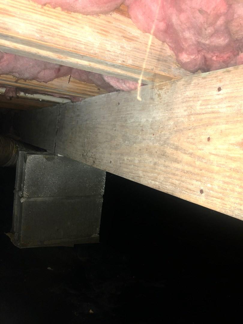 Mold Remediation Mold Problems in Your Owensboro, KY Crawl Space