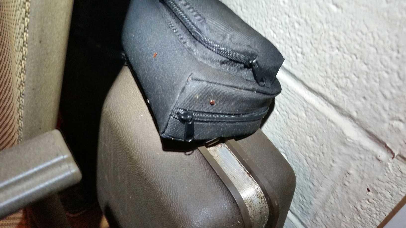 Pests We Treat Bed bug extermination in Lakewood, NJ Bed bugs on