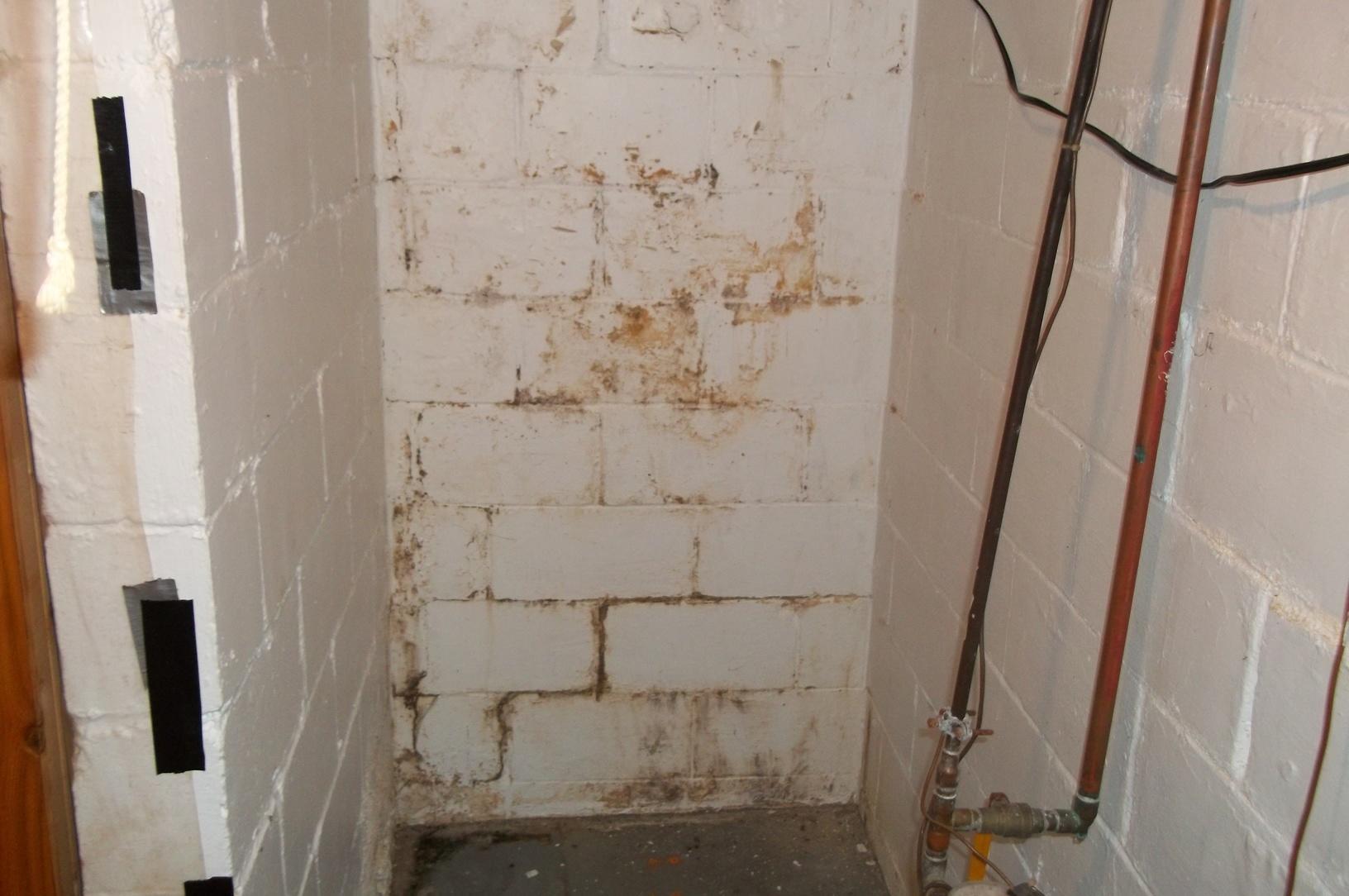 moldy waterproofing