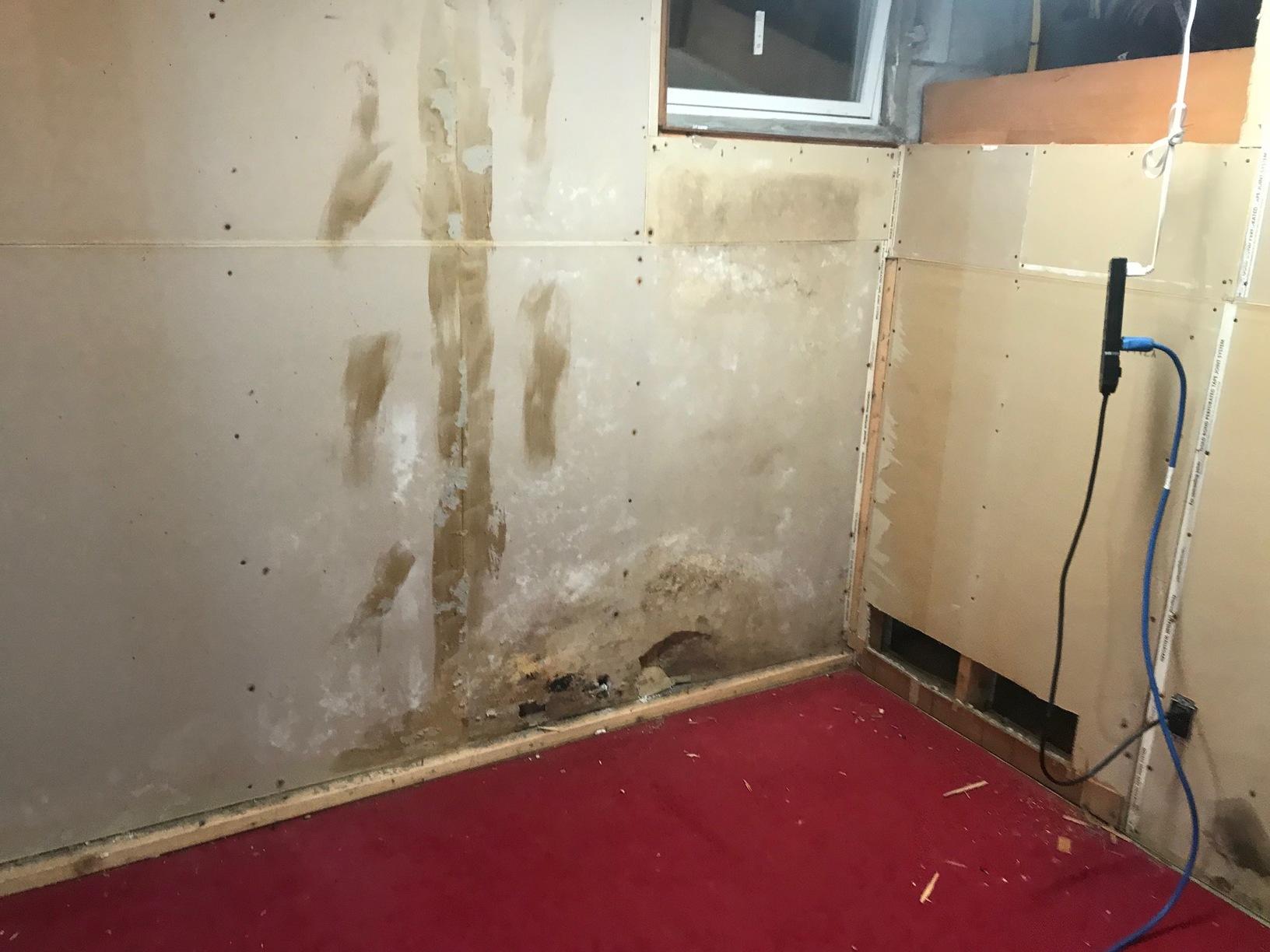 Hidden Mold Behind Basement Walls Basement mold exposed after panel