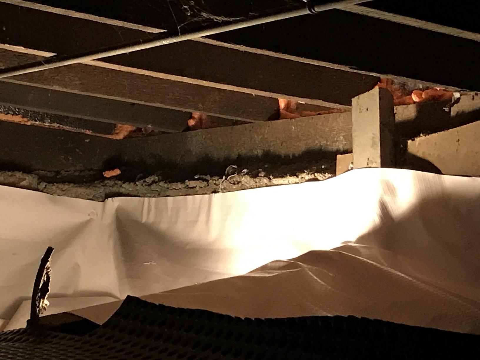 Crawl Space Repair Short Crawl Space in Marshall, IL Dirt Crawl