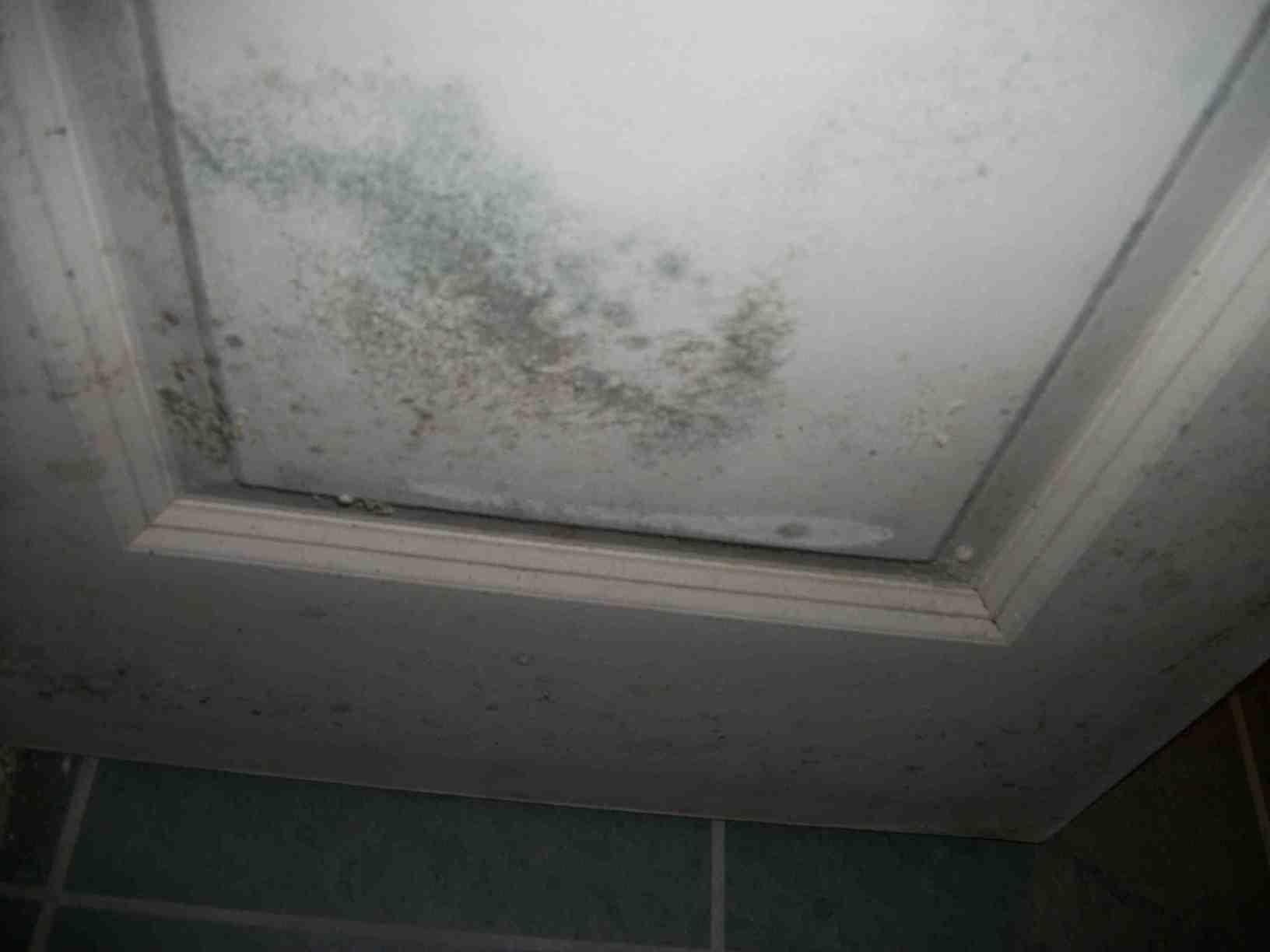  Mold on Door