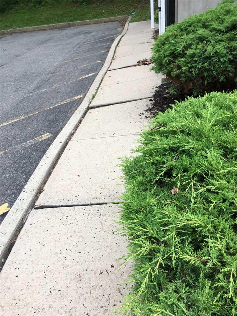 Concrete Lifting and Leveling Team Raises Sidewalk with PolyLevel Uneven Sidewalk Slabs