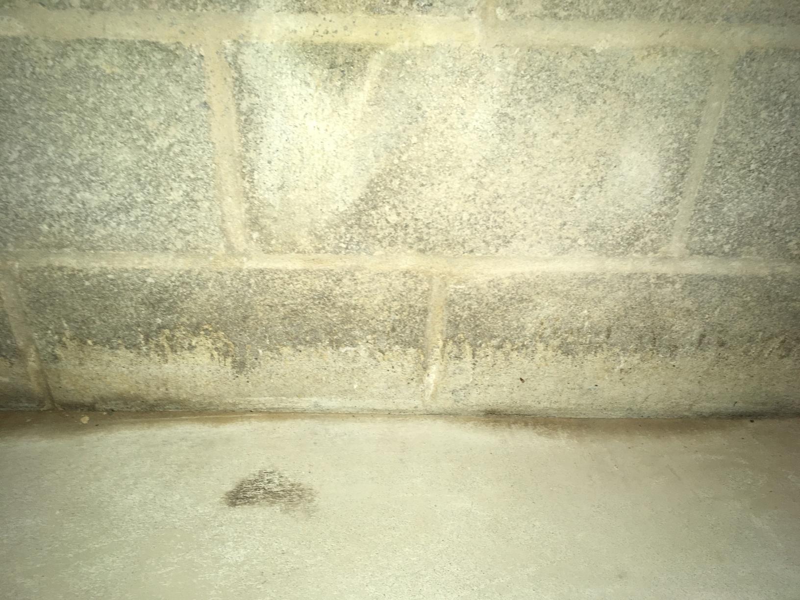  Efflorescence! Do you have white stuff on your cinder blocks in your