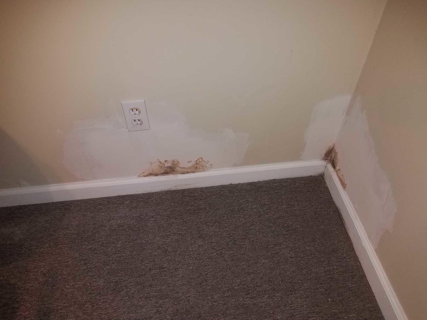 Our Mold Removal Services Water leak causes basement mold. More