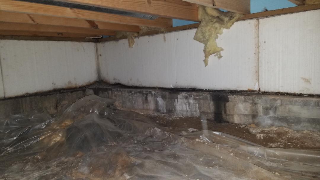 Crawl Space Repair Fresh & Clean O'Fallon, IL Crawl Space Thanks to