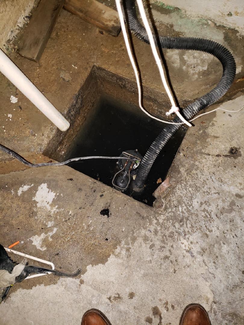Basement Waterproofing Leaks Damaged Vergennes, IL Basement