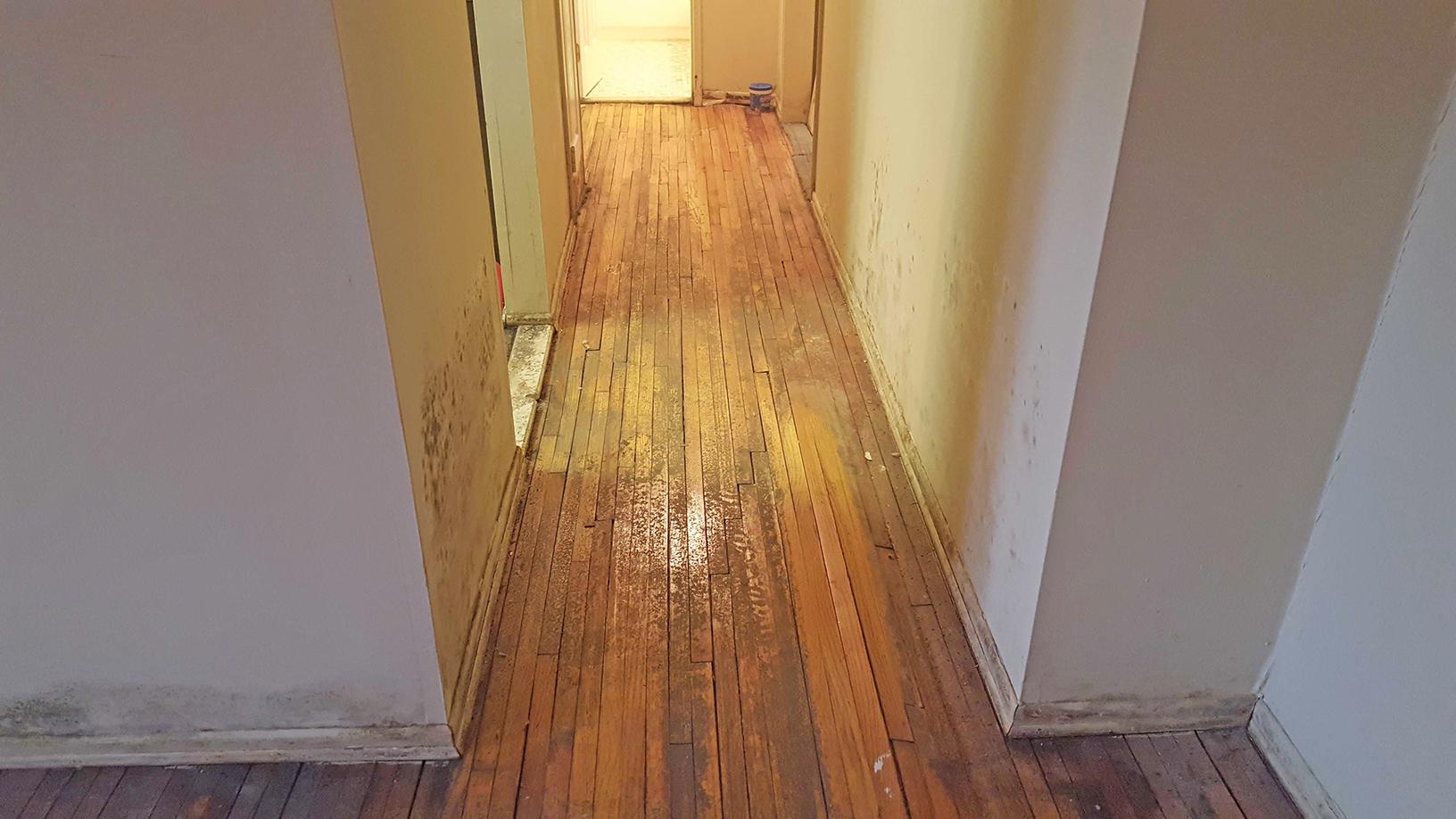 Our Mold Removal Services Burst Pipe Triggers Mold Growth In