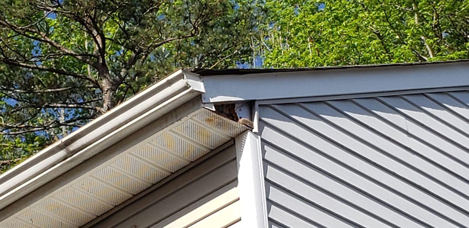 Gutters Downspouts Gutter Installation Soffit Repair In Avondale Estates Before Fascia Metal Damage