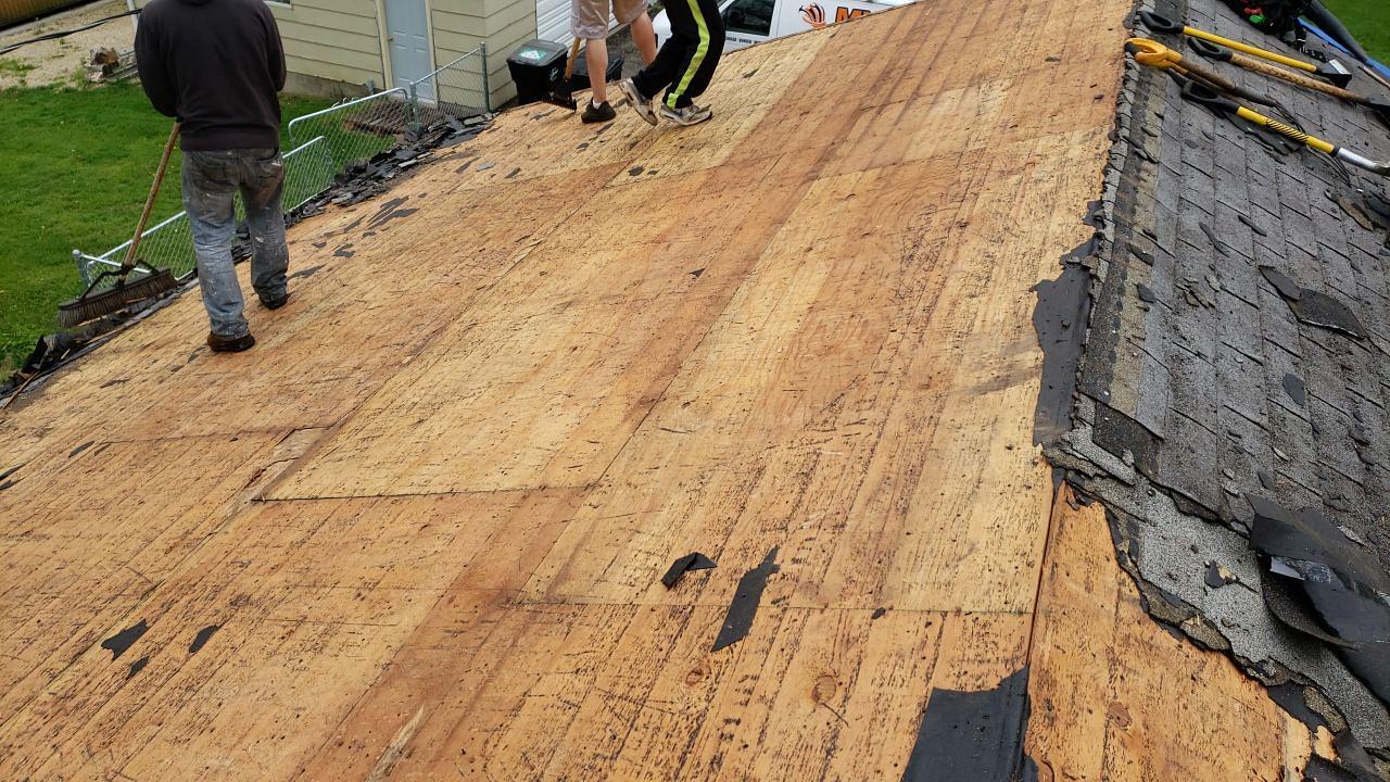 Shingle Replacement Complete Tear Off