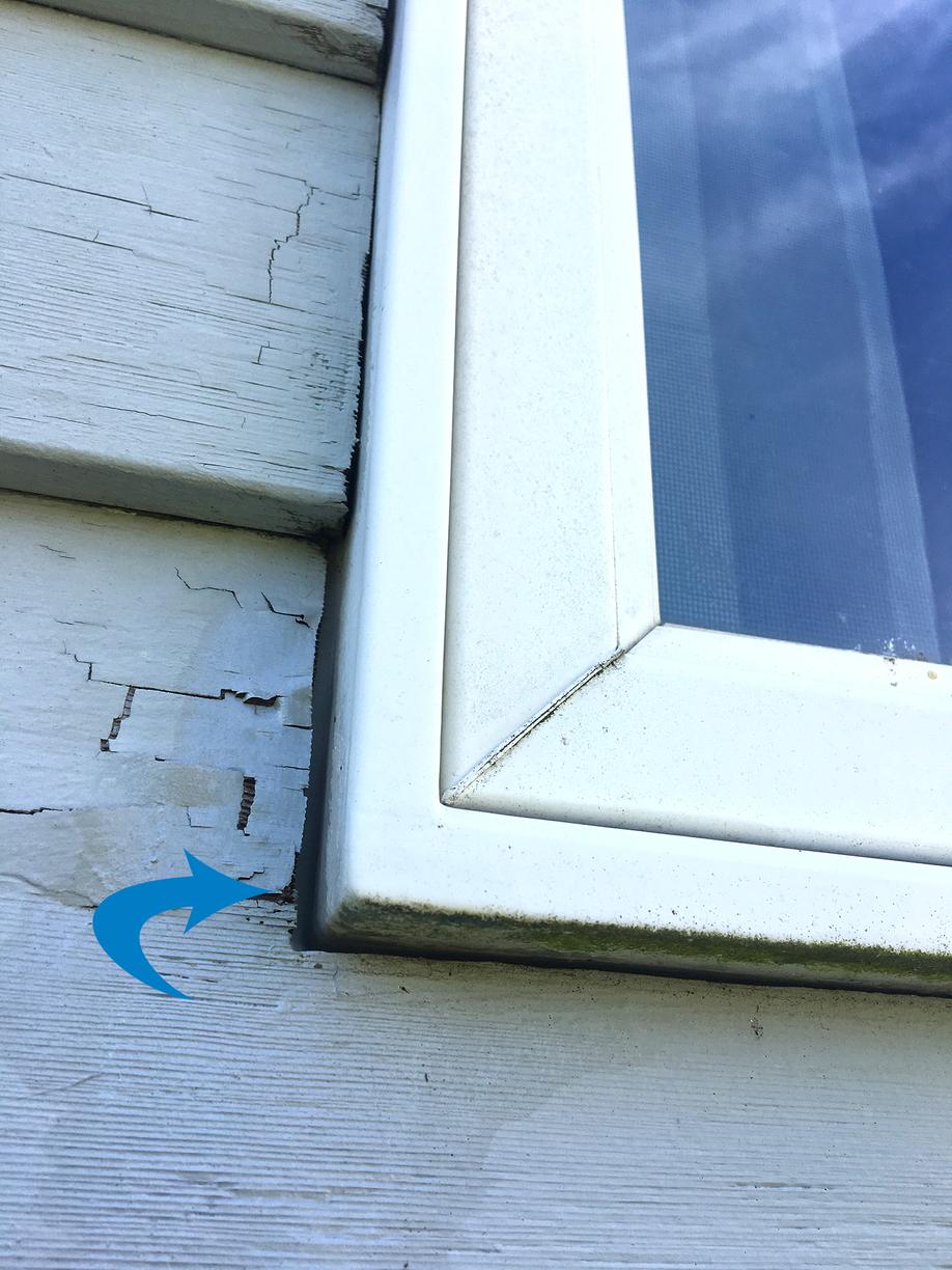 Pests We Treat Exterminators in Belmar, NJ Crack in the Window Frames