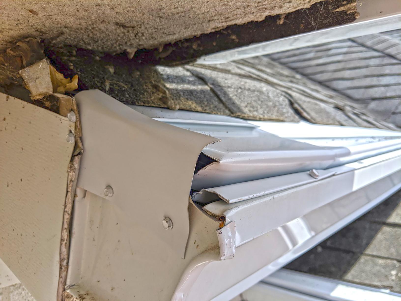 Bird Control Services Birds Drive Homeowner In Colts Neck Nj Cuckoo Sanitize Install A Leaf Proof Gutter Guard