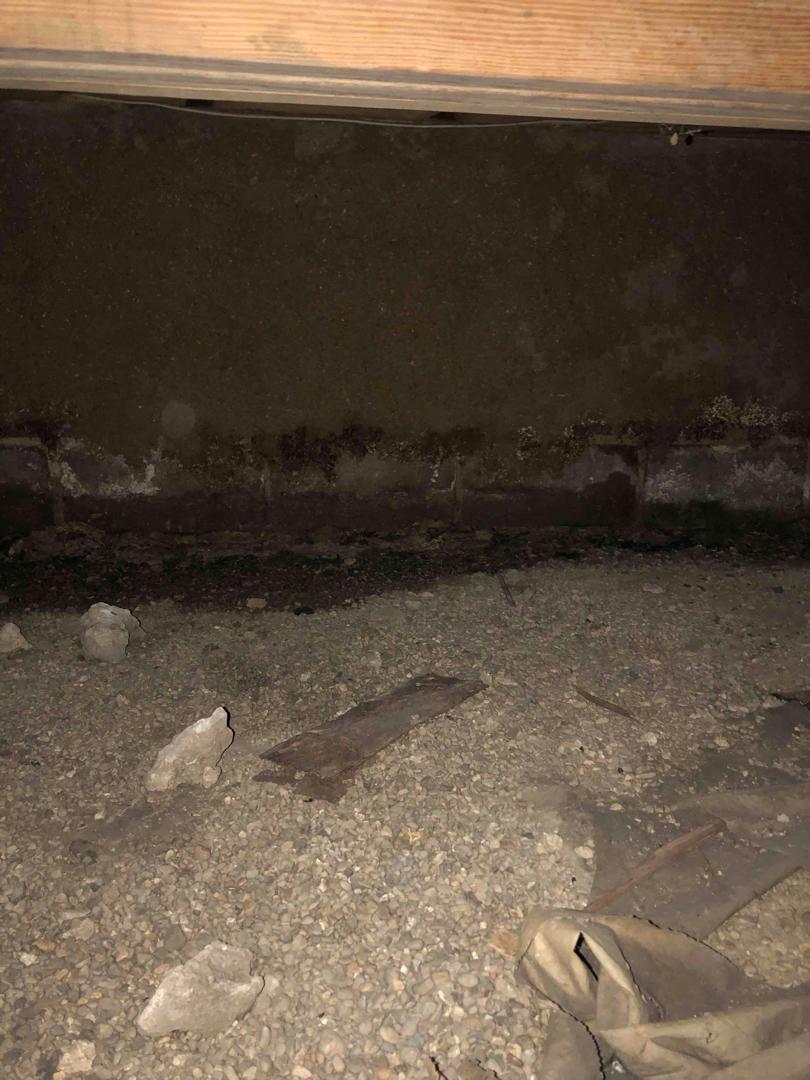 Crawl Space Repair Crawlspace in Danger Water Leaking Inside