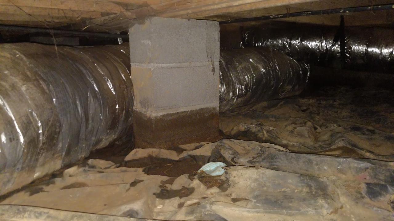 Crawl Space Repair Damp to Dry Crawl Space in Springfield, TN Damp