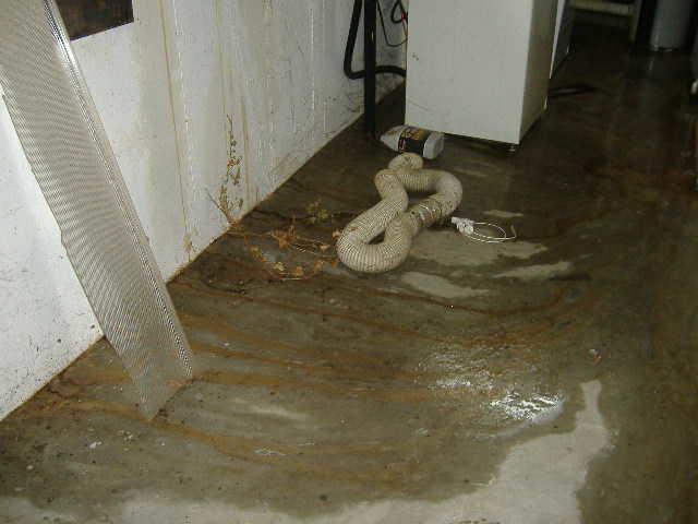 Basement Waterproofing - St. Louis, MO Basement Issues ...