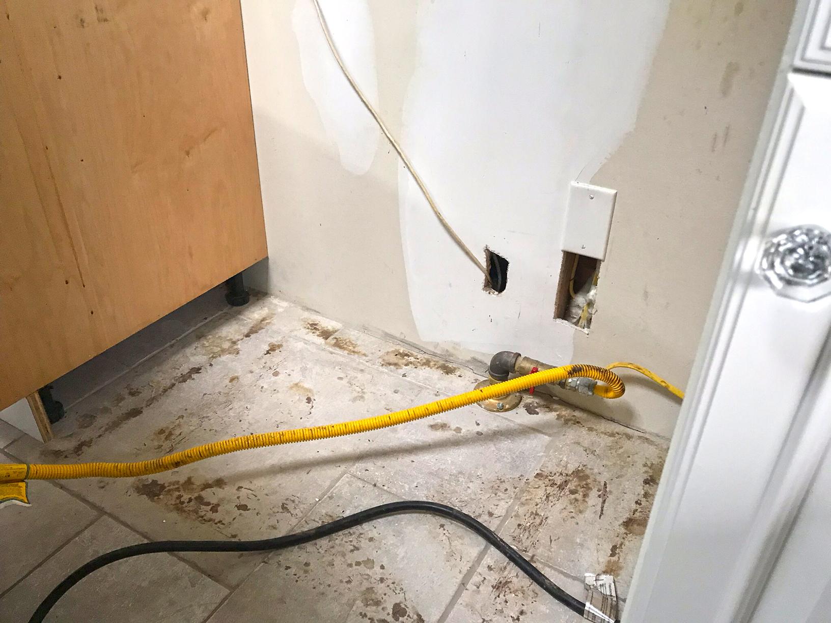 Mice in Crawl Space in Freehold, NJ Tidy Up