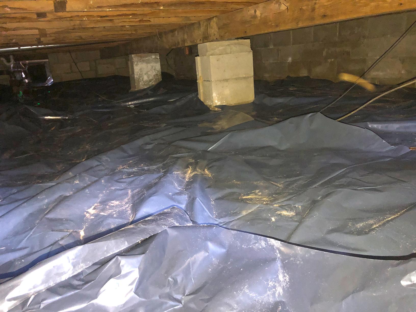 Our Mold Removal Services Chicken Wired Crawl Space Gets