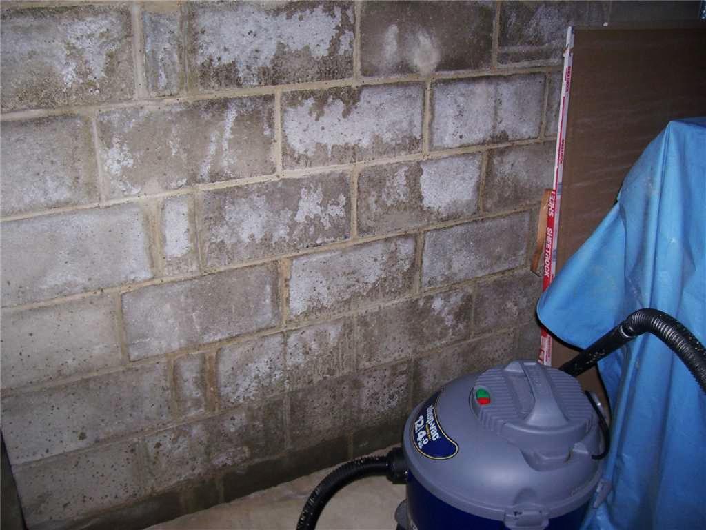 Basement Waterproofing Wet Basement Problem Solved in Matawan Wet