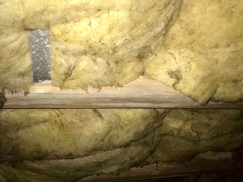 Crawl Spaces Crawlspace Encapsulation in Harrisburg, NC Mold Growth in Insulation