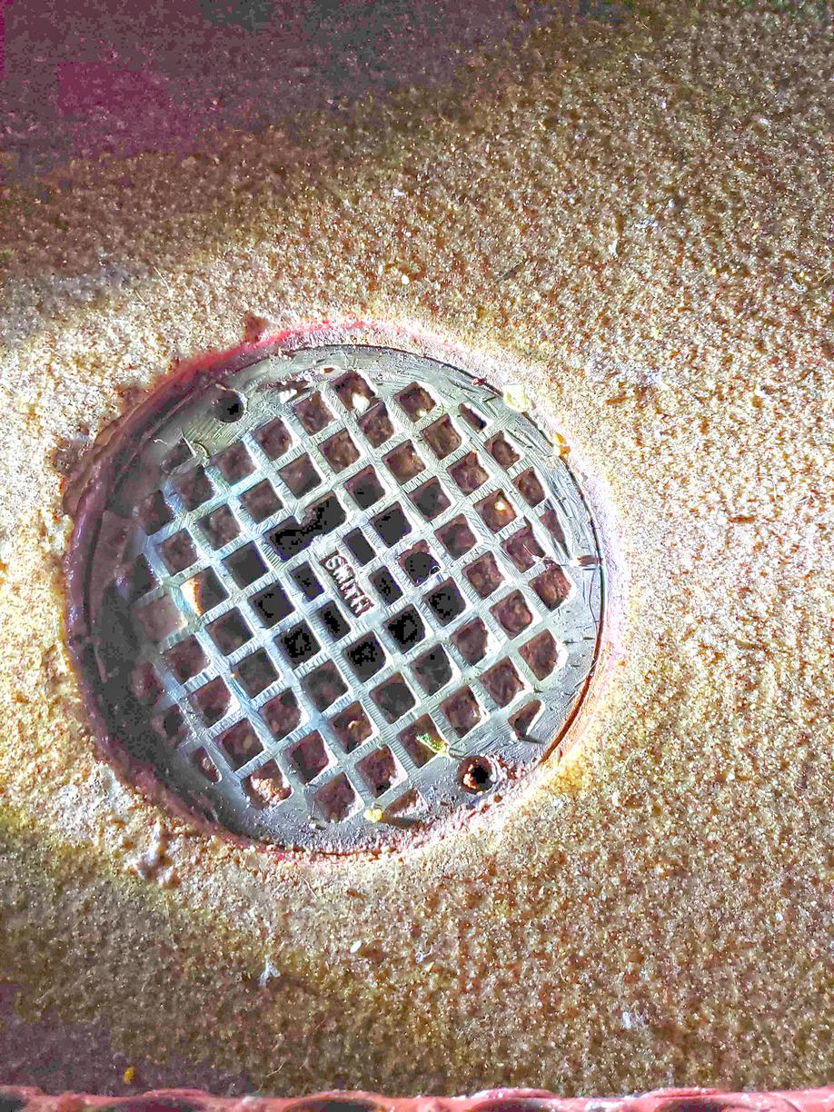 Cowleys Pest Services Pests We Treat Photo Album Bacteria Filled