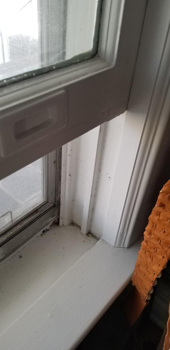 Global Home Improvement Photo Album Installing Marvin Integrity