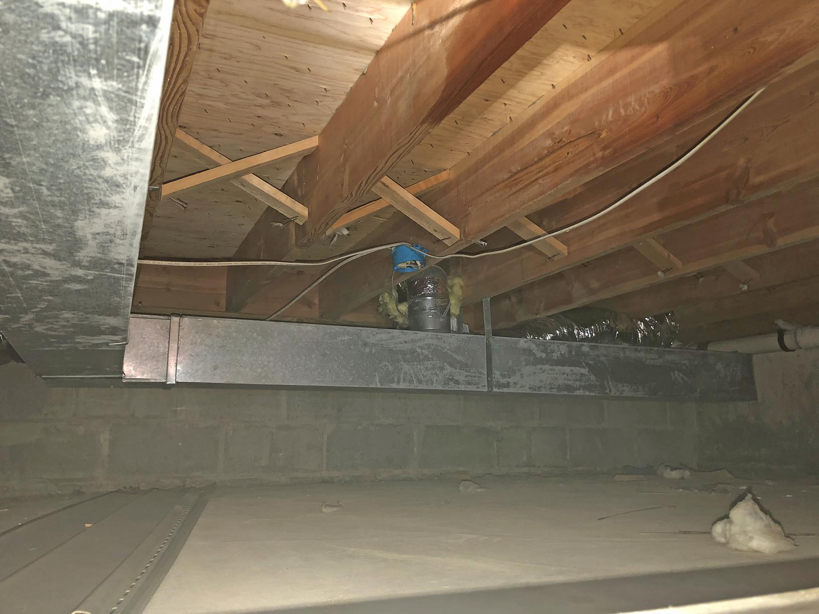 Our Mold Removal Services Mold Removal in Multiple Crawl Spaces in