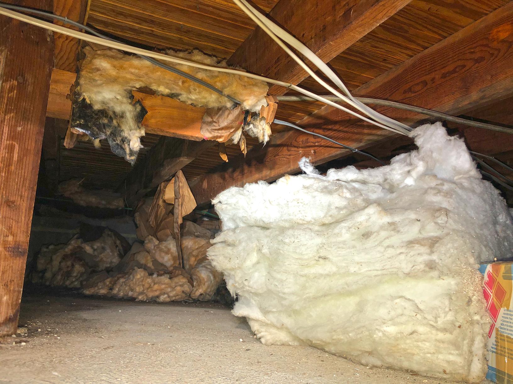 Our Mold Removal Services Mold Removal in Multiple Crawl