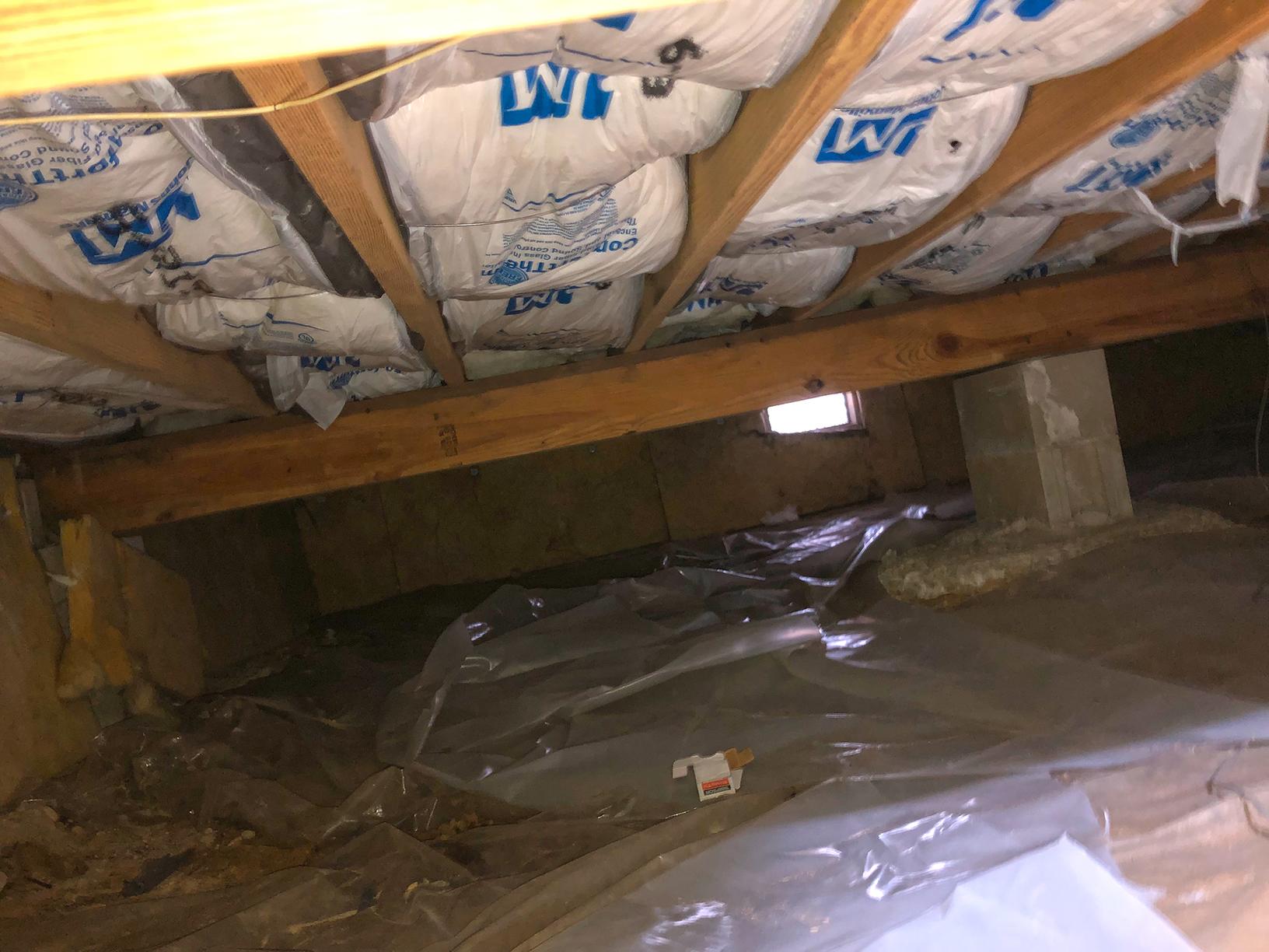 Attic Insulation Adding Much Needed Insulation to Crawl Space in Toms