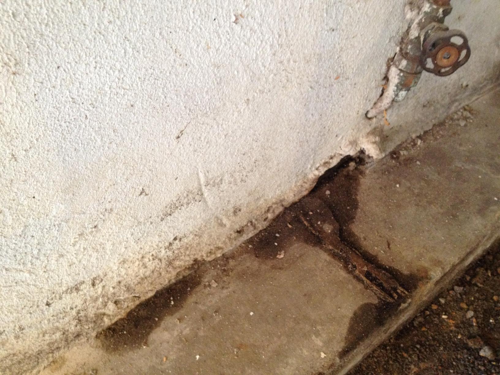 Basement Waterproofing - Waterproofing Wall Covering and Raised Footing