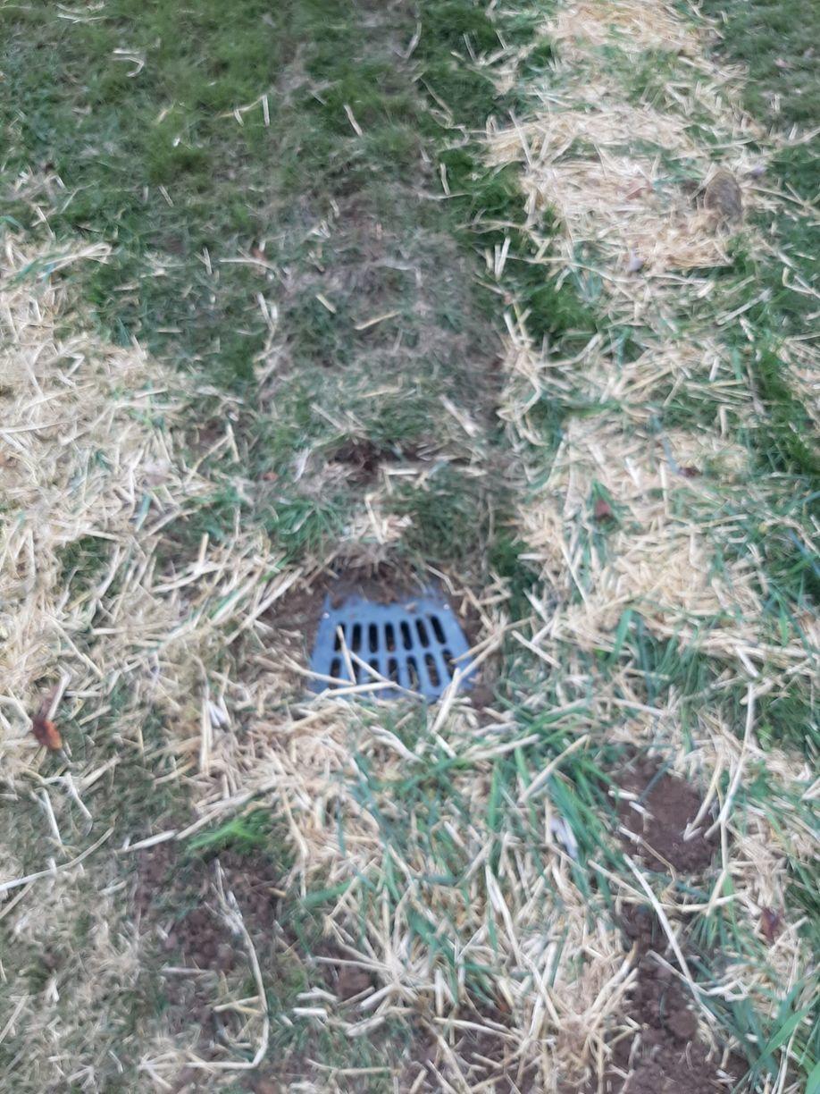 Cogon grass as heat insulator essay examples 08 image