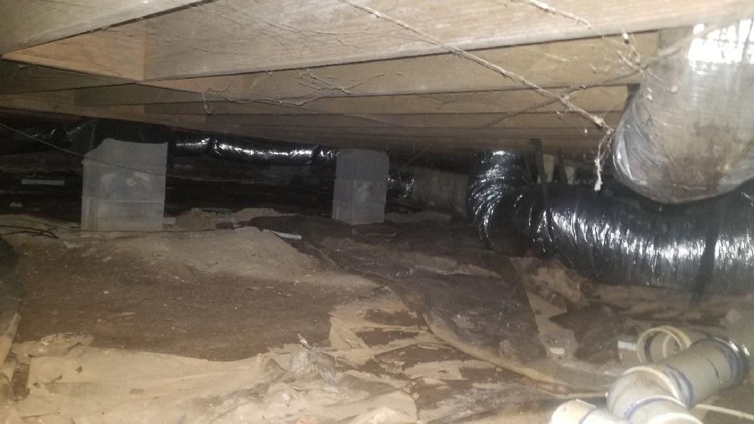 Basement Waterproofing Clean Space in Chapmansboro Dirt Crawl Space