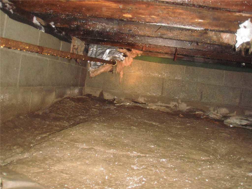 Crawl Space Repair Complete Encapsulation in Woodlawn, IL Old Dirt
