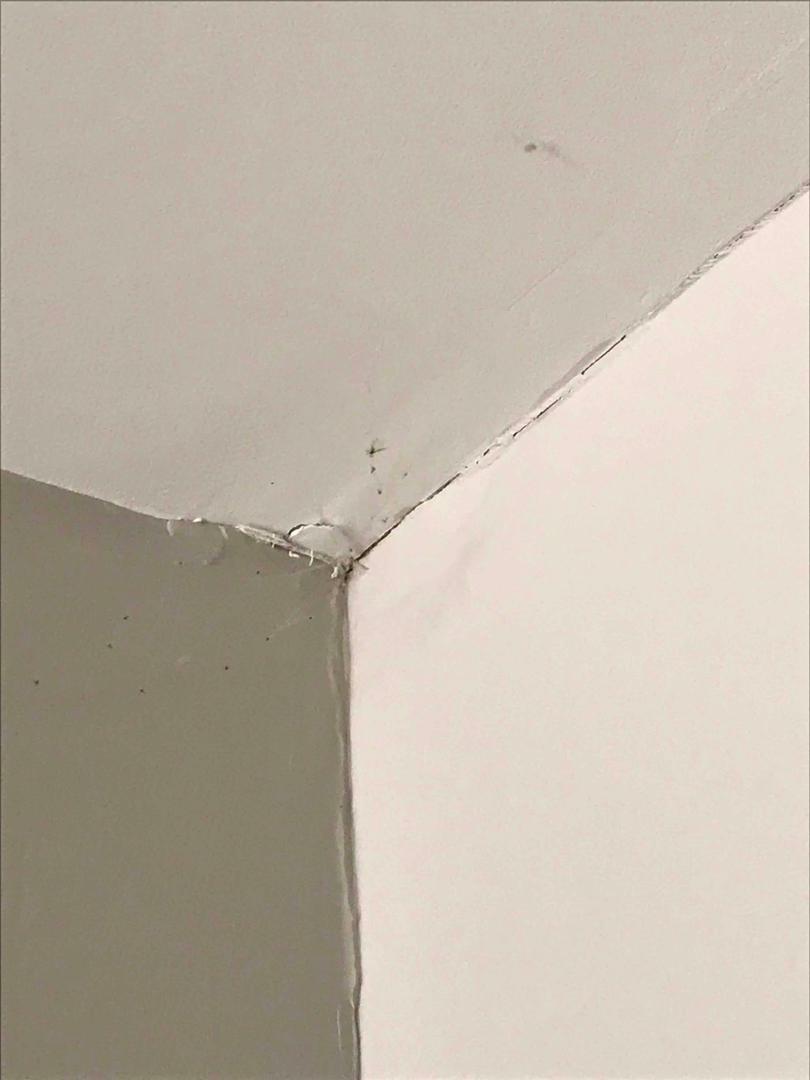 Foundation Repair Foundation Repair in House Springs, MO Cracked