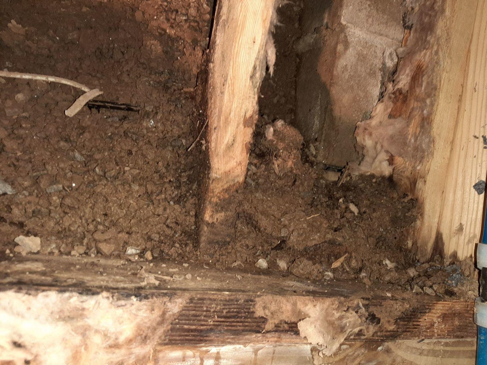 Basement Waterproofing in Clarksville, TN Moist Basement