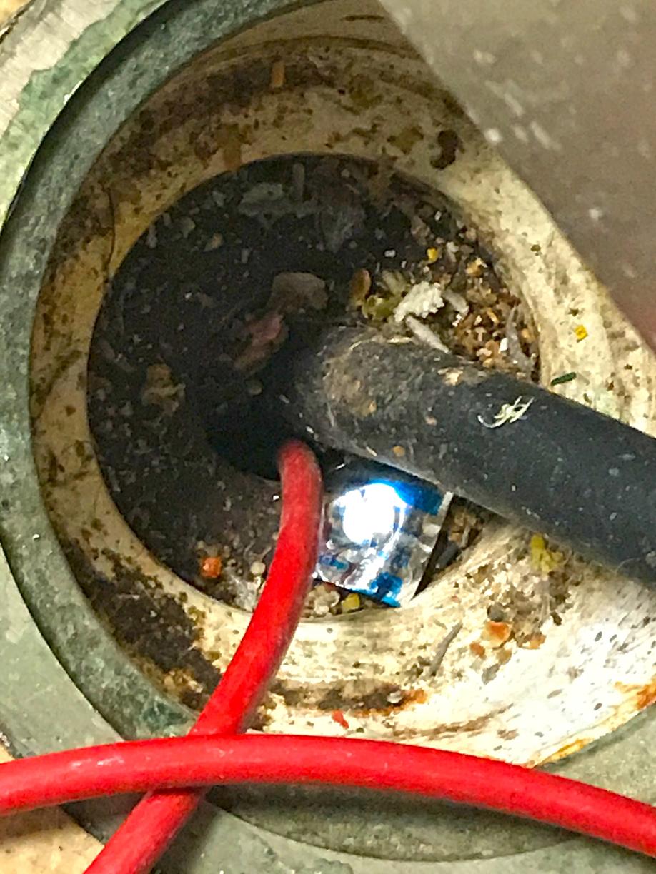 Pests We Treat Bad Sanitation Causes a Bad Drain & Fruit Fly