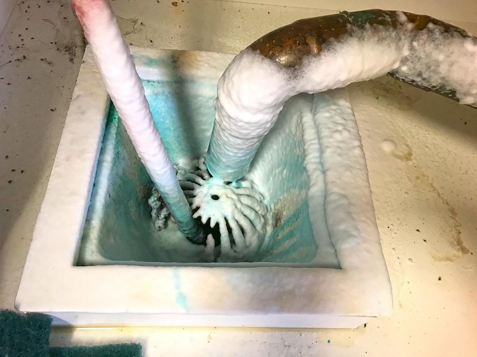 Pests We Treat Bad Sanitation Causes a Bad Drain & Fruit Fly