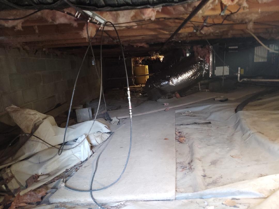 Crawl Space Repair Salem, VA Crawlspace Encapsulation Begining clean out 4