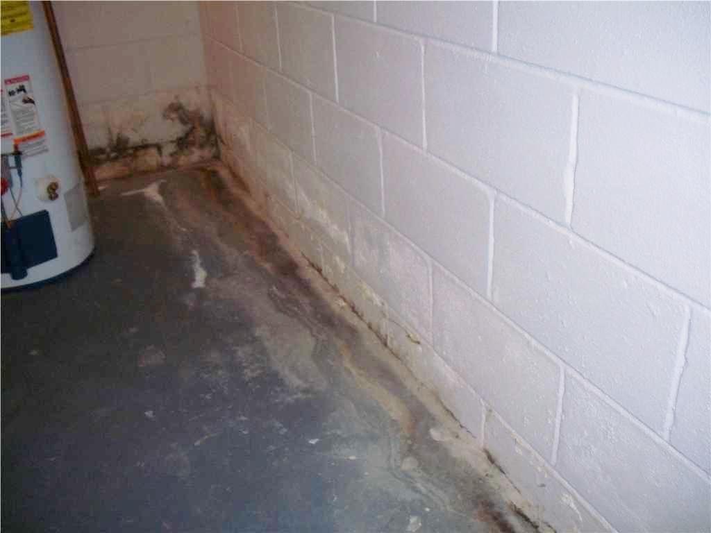 Basement Waterproofing Water Seepage in North Brunswick Basement