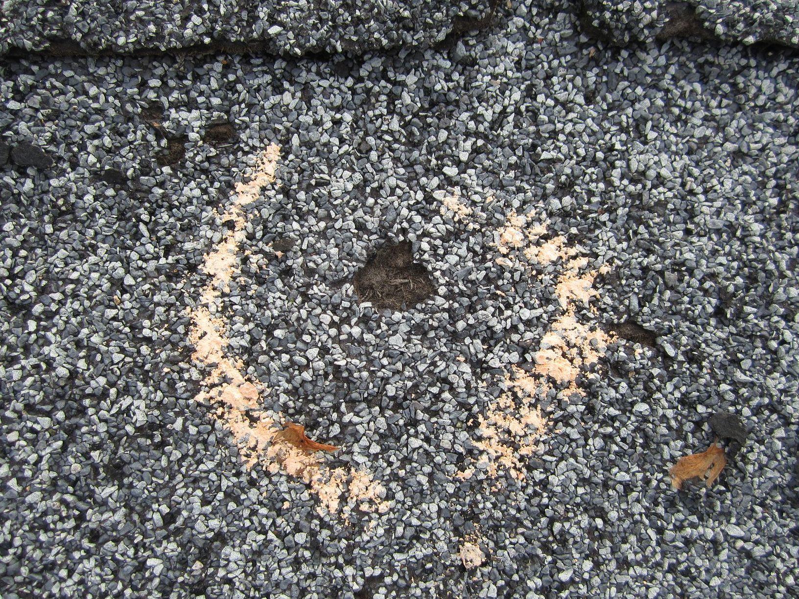 Roof Replacement Hail Damage on a Shingle Roof in Crawfordsville, IN