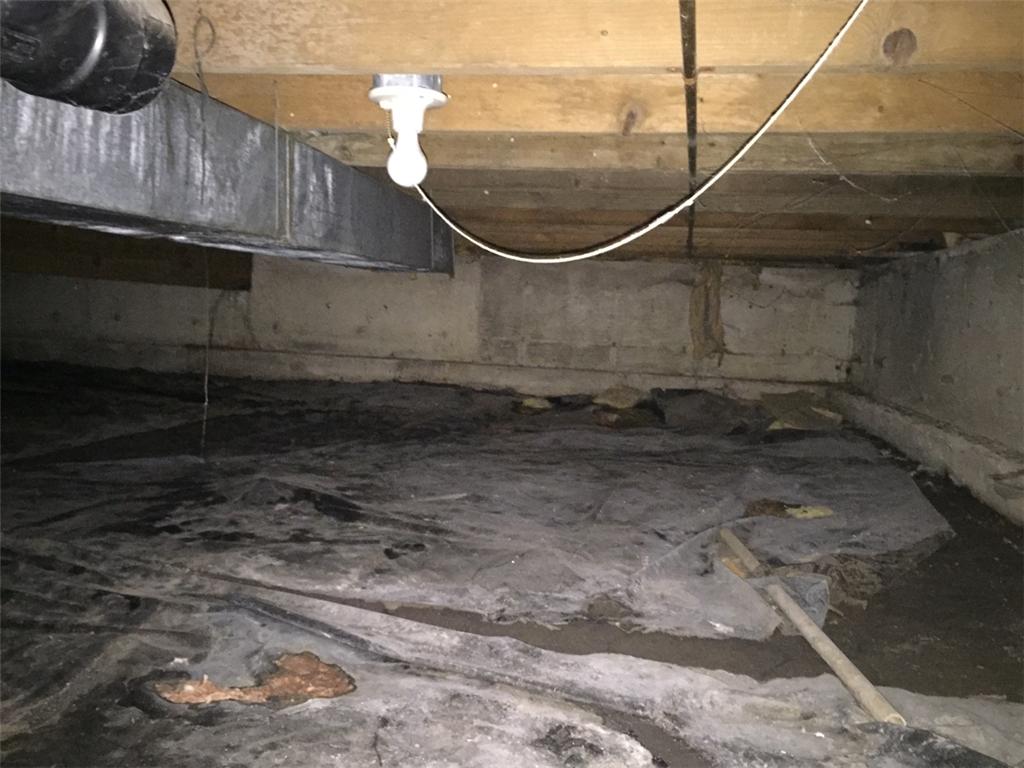 Foundation Repair Crawl Space Repair in Highland, IL