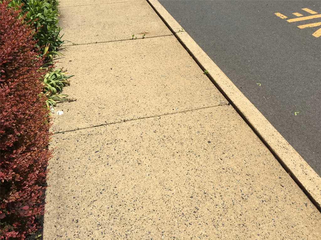 Concrete Lifting and Leveling Sidewalk Raising in Belle Mead, NJ