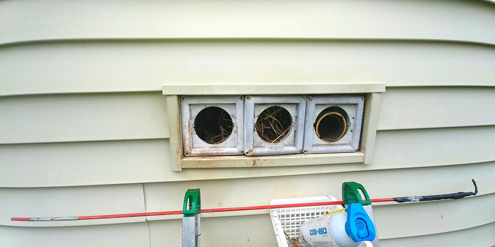 Faulty Dryer Vents Perfect for Birds to Nest in Bridgewater, NJ