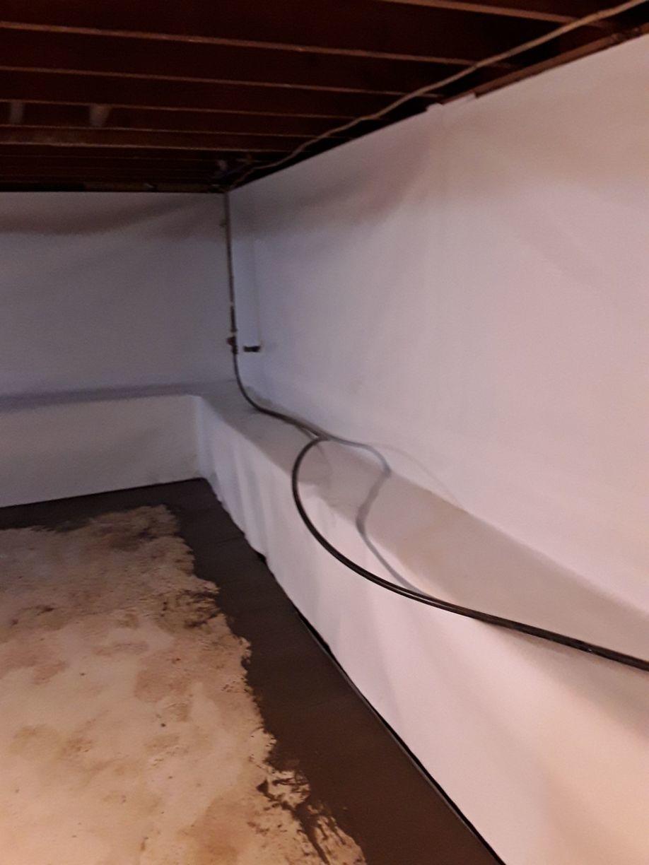 Basement Waterproofing Waterproofing Solution in Cedar Hill, MO Home