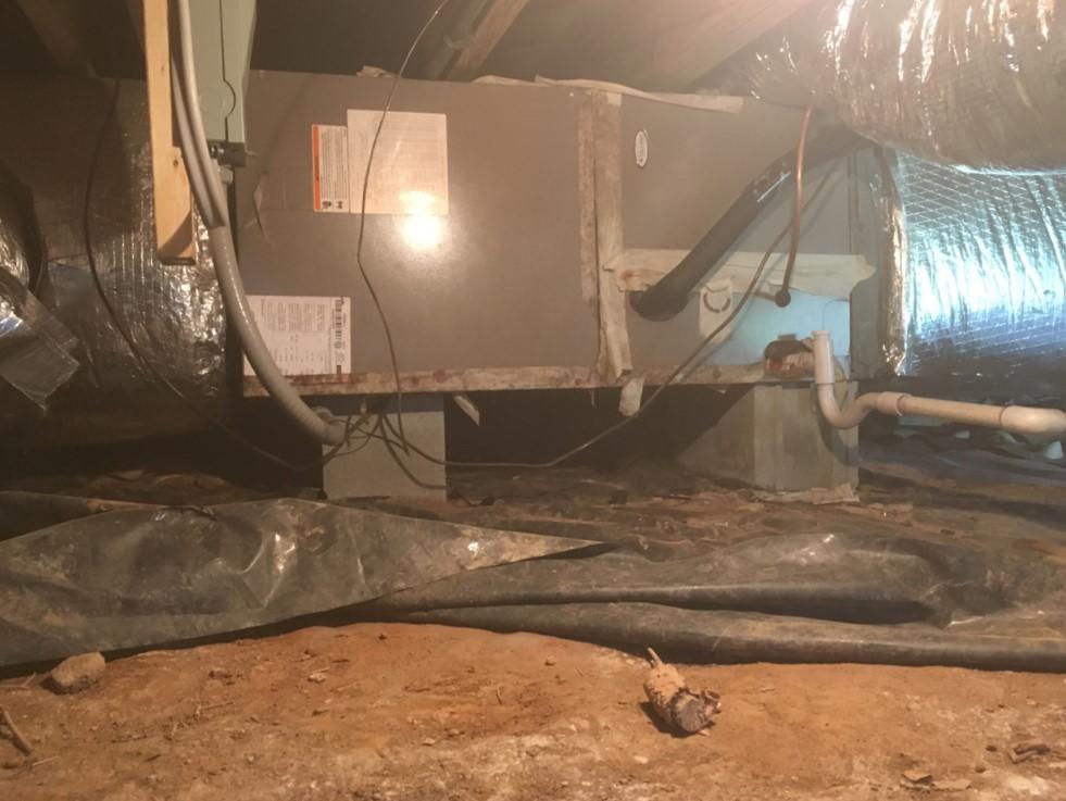Installing Vapor Barrier in Moldy Crawl Space in Hamptonville, NC