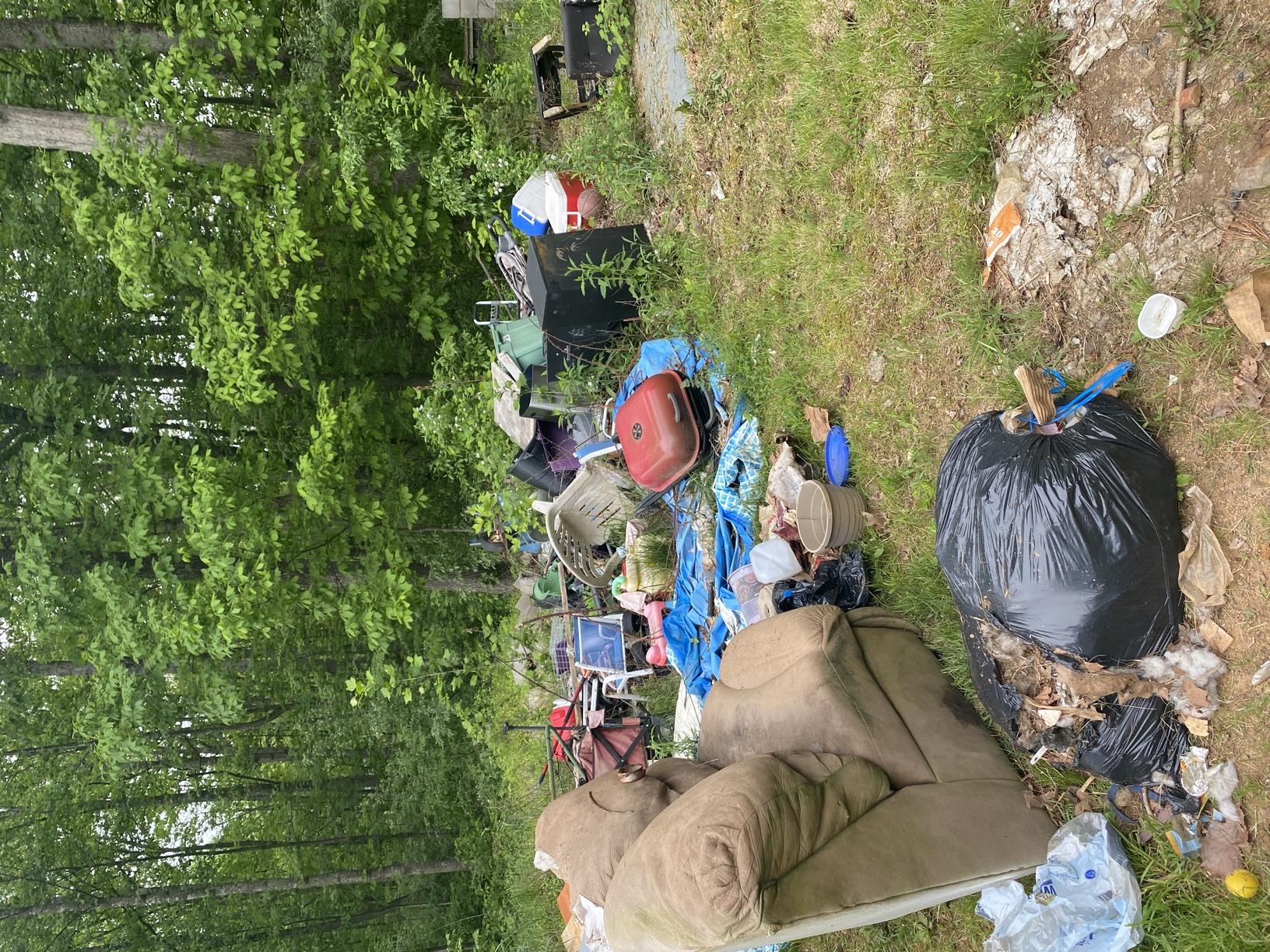 Field Clean Up in Amissville, VA Field Clean Up in Amissville, VA