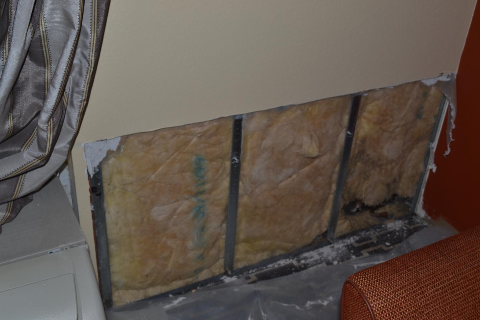 Dry Pro Foundation and Crawlspace Specialists Molded insulation