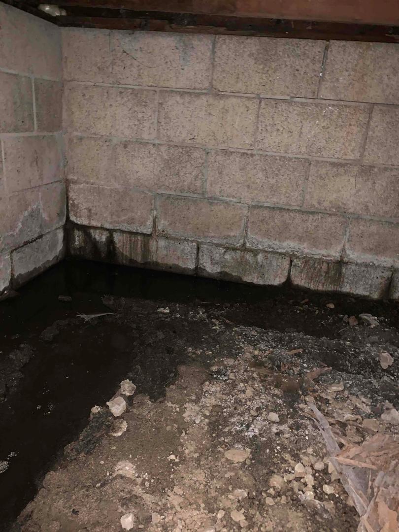 Total Crawl Space Transformation Wet Crawl Space