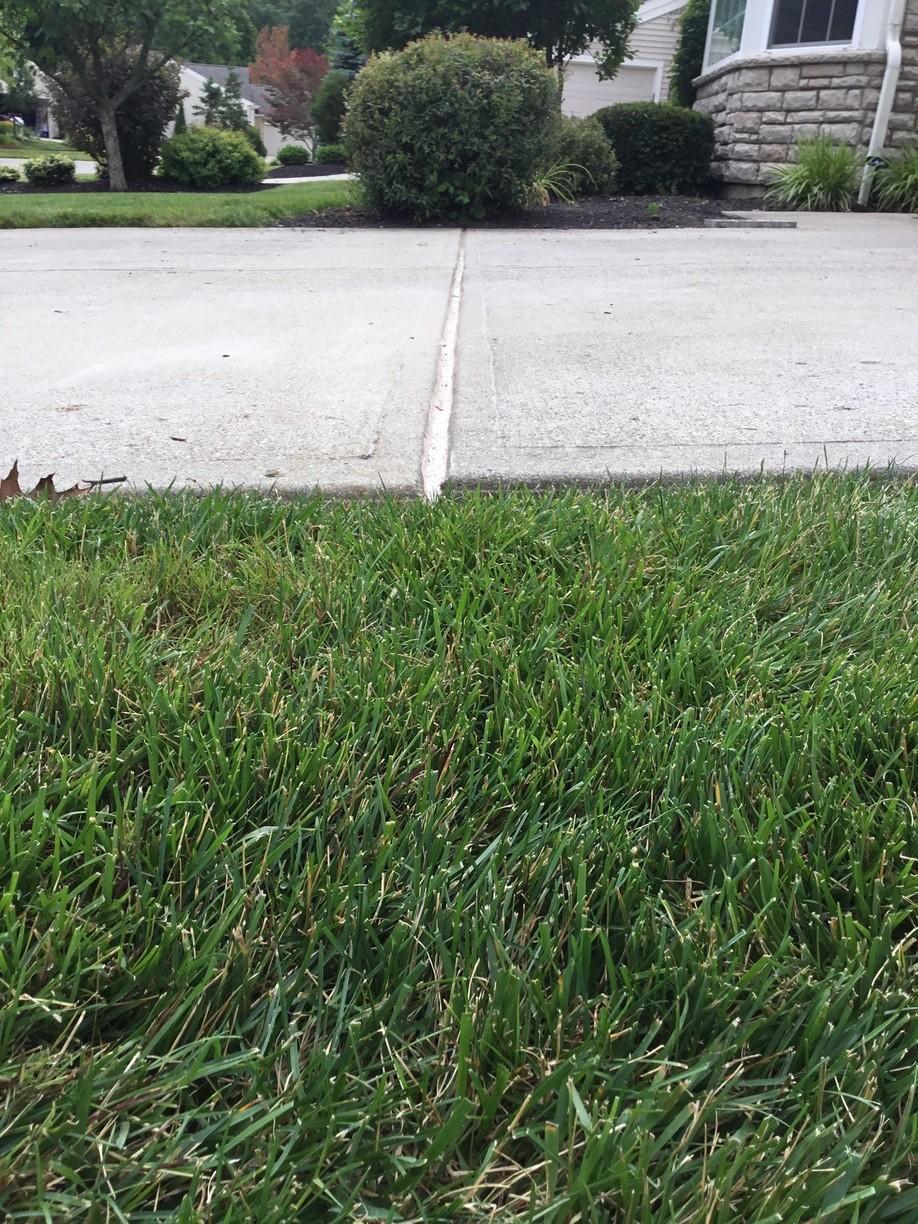 Concrete Lifting and Leveling Polylevel Injection and NexusPro Joint Sealant used to repair a